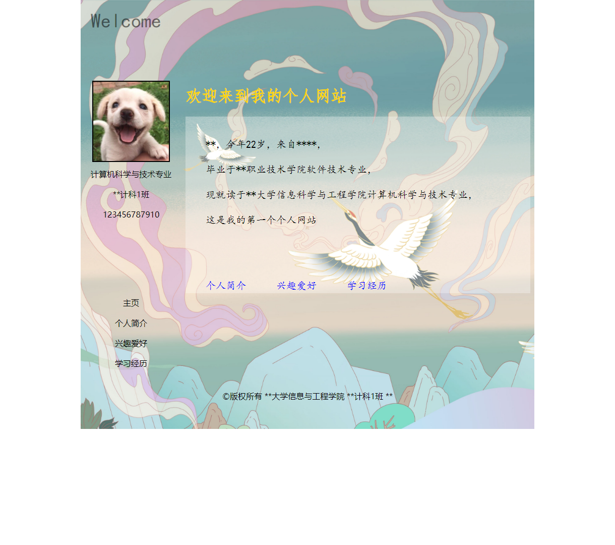 生活与兴趣的个人展示网站：简单优雅，充满积极情感