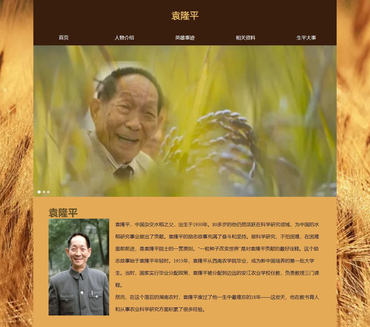 深入了解袁隆平：杂交水稻之父的传奇生平与科学贡献