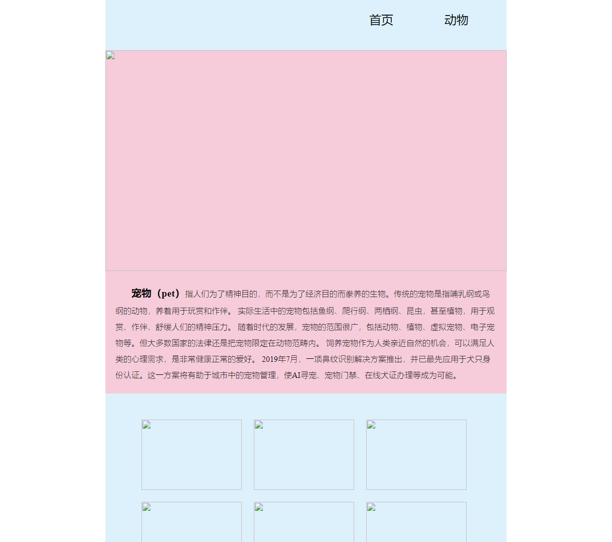 温暖陪伴：探索宠物世界的美好与情感