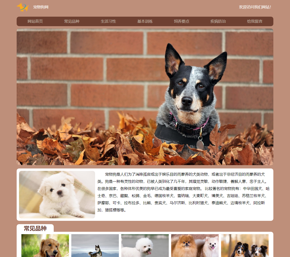 欢迎来到宠物网 - 了解各种宠物狗的品种、习性及喂养知识，简洁明了的设计风格