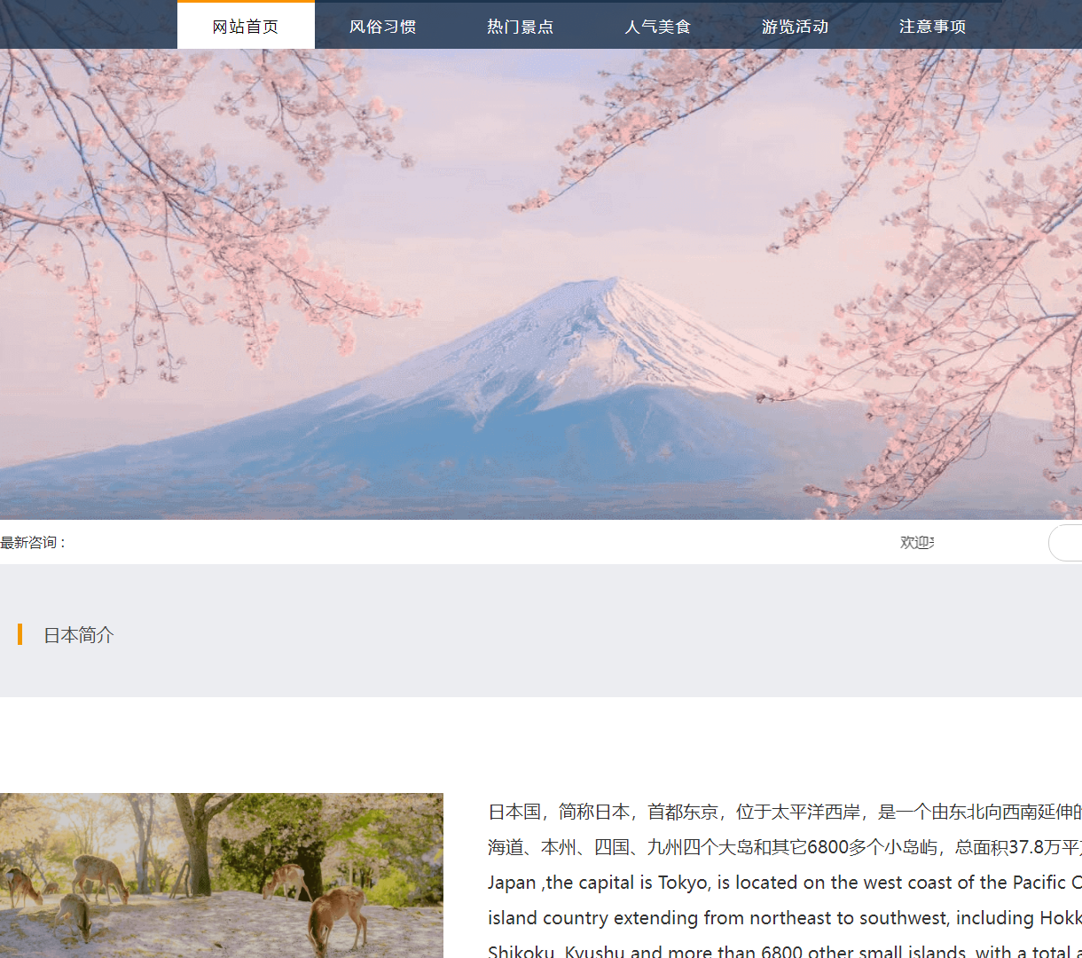 探索日本旅游网 - 了解风俗习惯与热门活动，轻松规划你的日本之旅