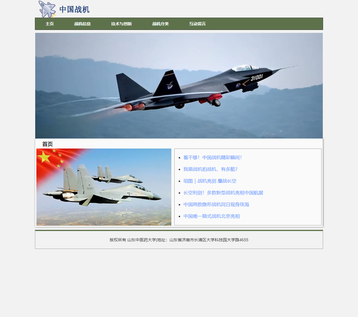 了解中国战机：技术创新与经典战机展示网站，简洁设计与直观导航