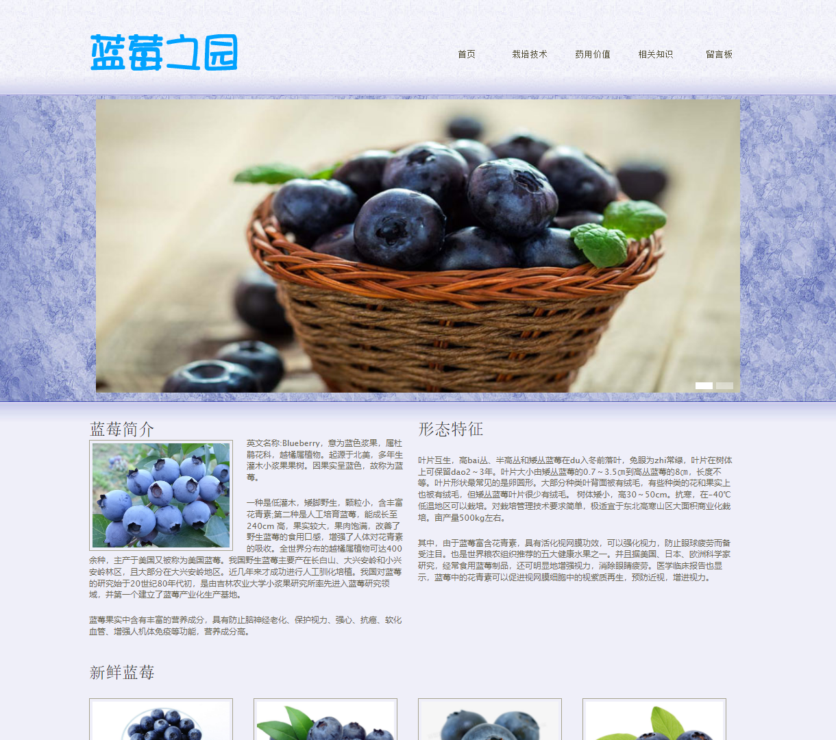 蓝莓之园 - 了解蓝莓的栽培技术与药用价值的健康之家