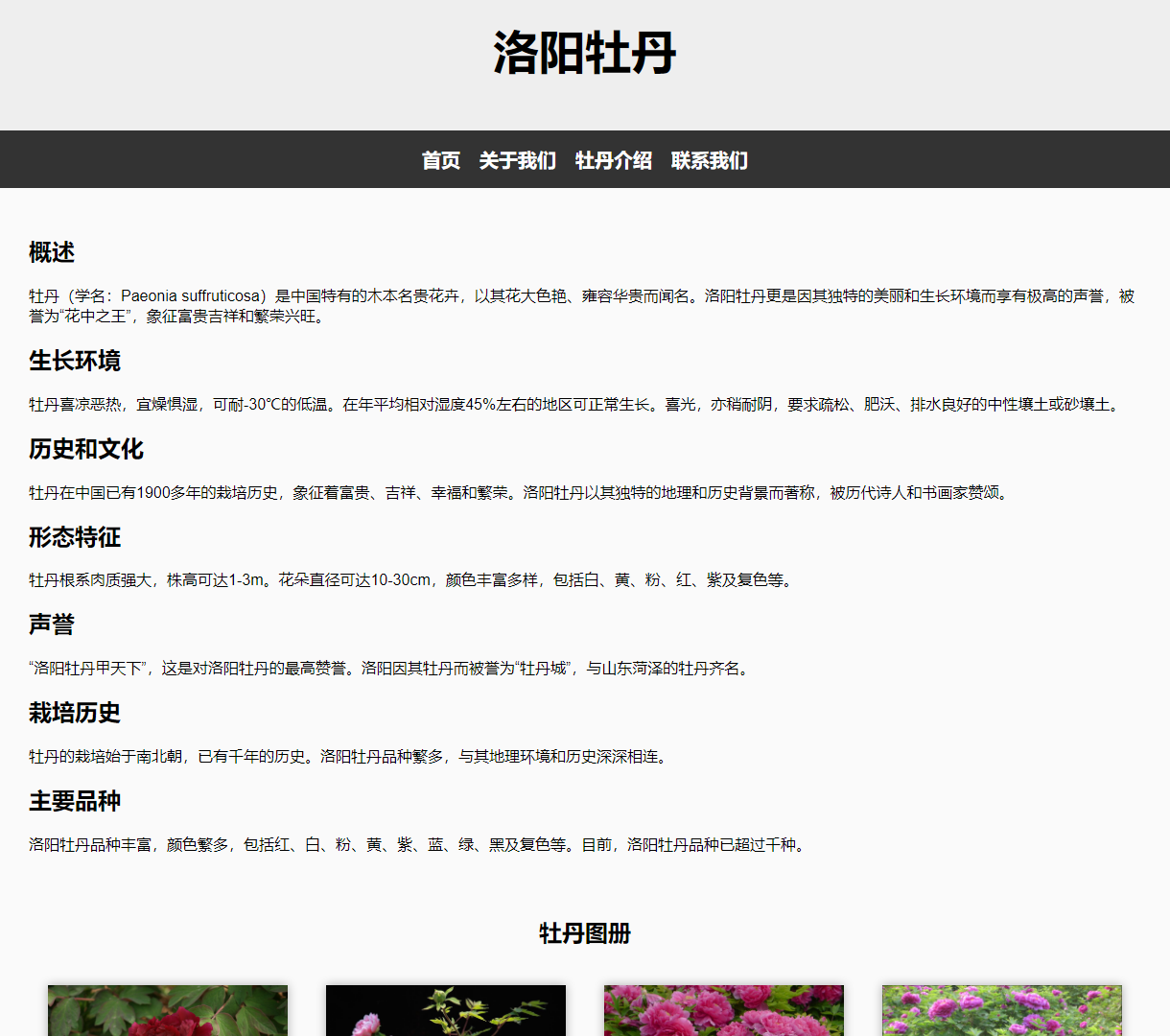 深入探讨洛阳牡丹的美丽与文化：一个简约而清晰的网页设计